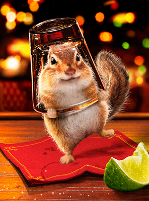chipmunk-animals-free-animated-gifs-gameznet 013.gif